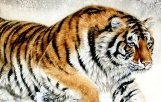 鬼最怕的七种生肖图片 龙排第一克制所有鬼怪