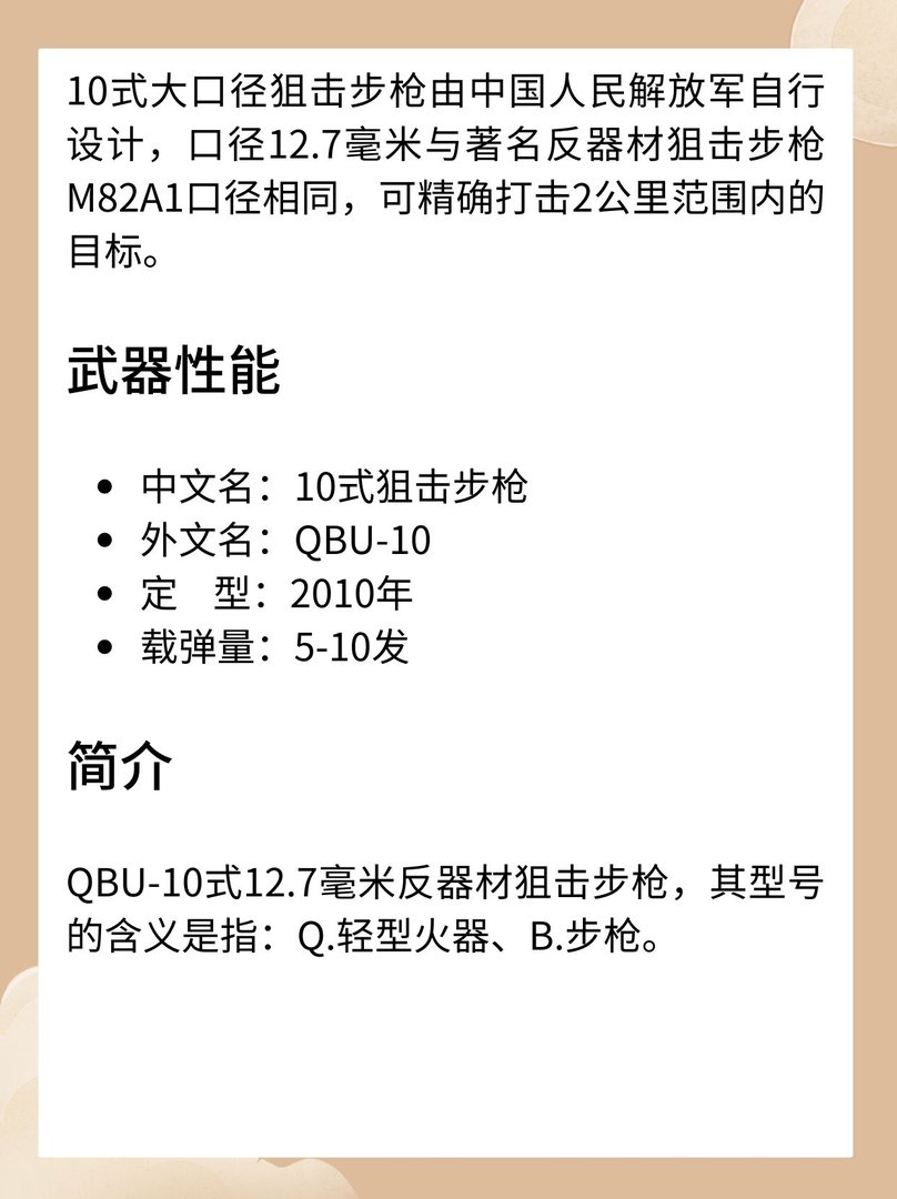 10式狙击步枪