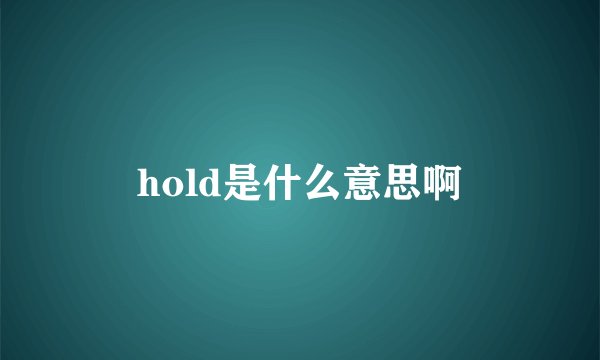 hold是什么意思啊