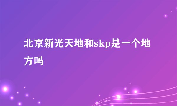 北京新光天地和skp是一个地方吗