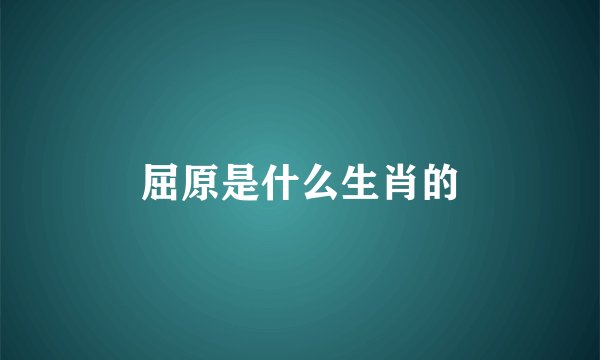 屈原是什么生肖的