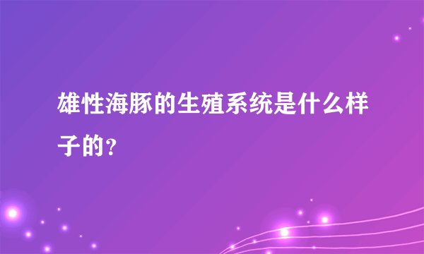 雄性海豚的生殖系统是什么样子的？