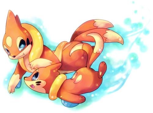 浮潜鼬的进化型是什么