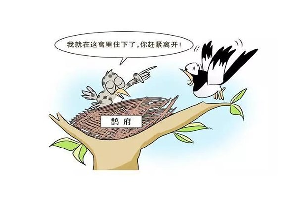 鸠占鹊巢的鹊是指什么鸟