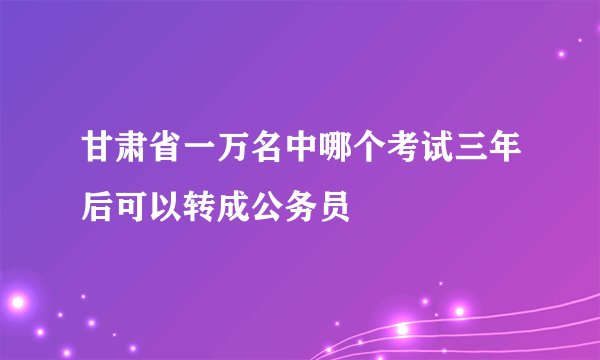 甘肃省一万名中哪个考试三年后可以转成公务员