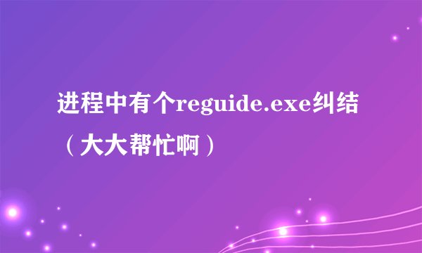 进程中有个reguide.exe纠结（大大帮忙啊）