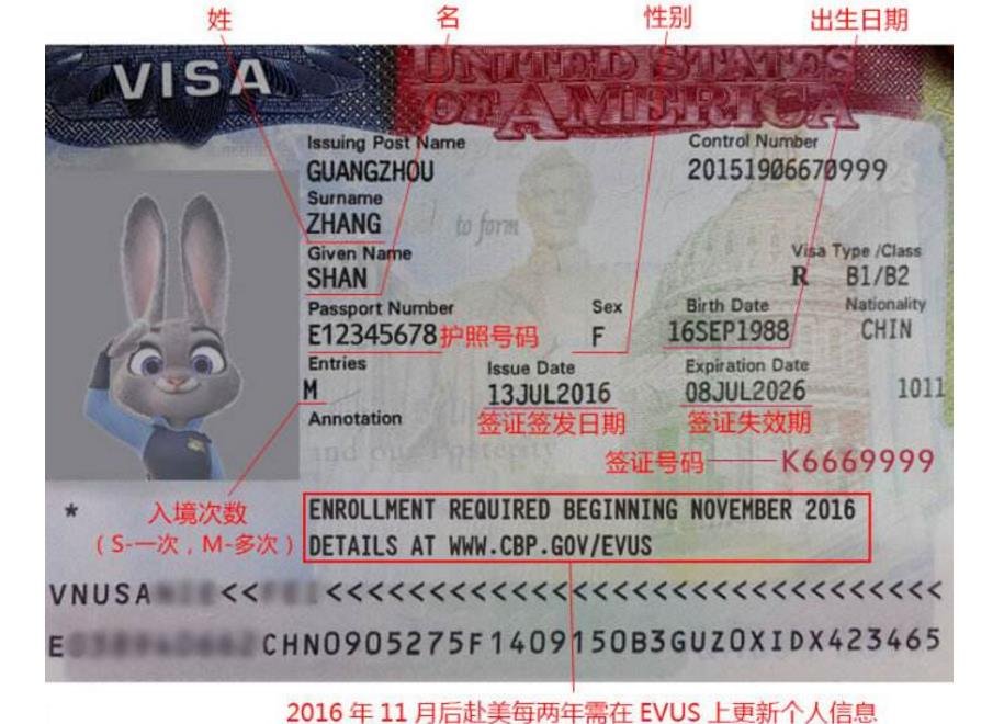 美国签证号码在哪里？？？