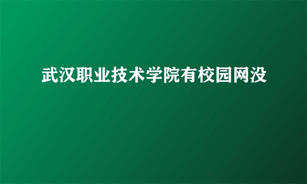 武汉职业技术学院有校园网没