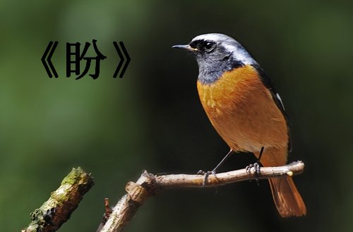 天坛大洋唱的歌曲