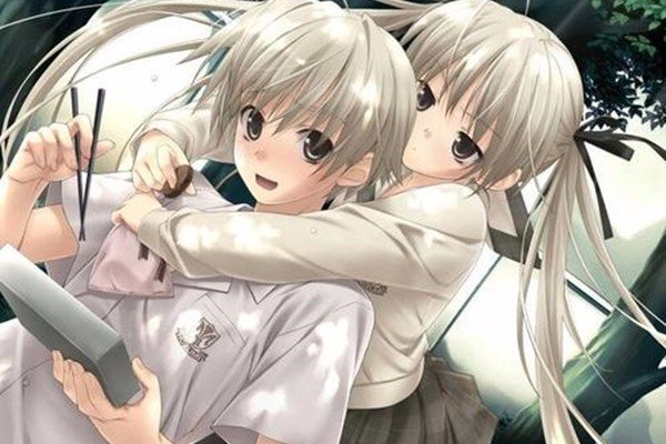 弹幕中出现最多的3个梗,都是来源于哪几部动漫?