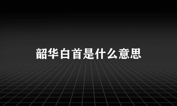 韶华白首是什么意思