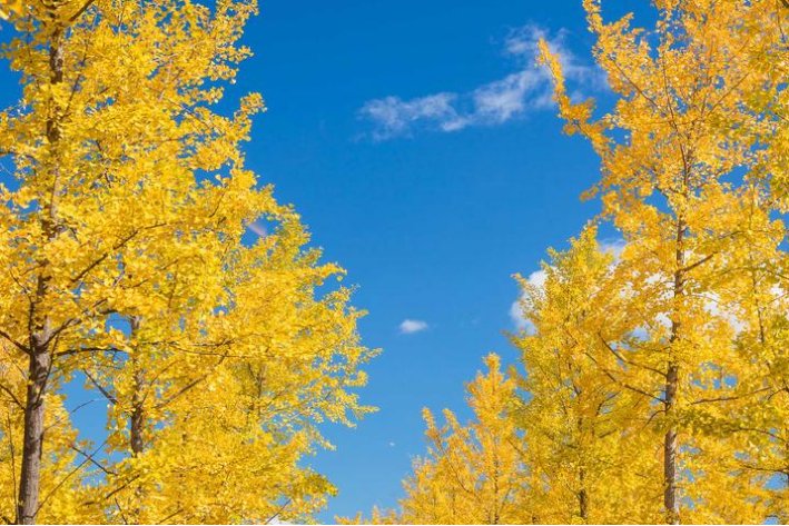 每当…就造句简单二年级比喻