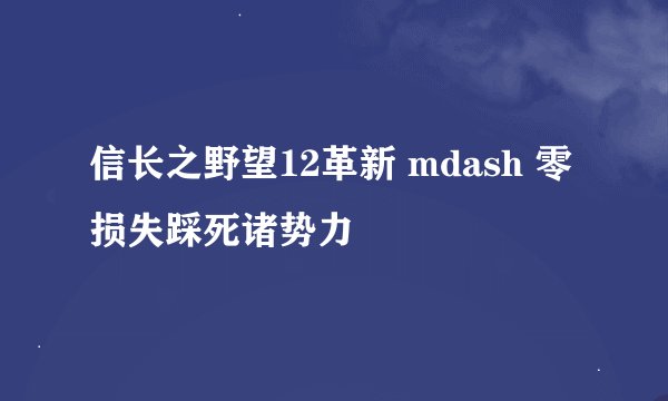 信长之野望12革新 mdash 零损失踩死诸势力