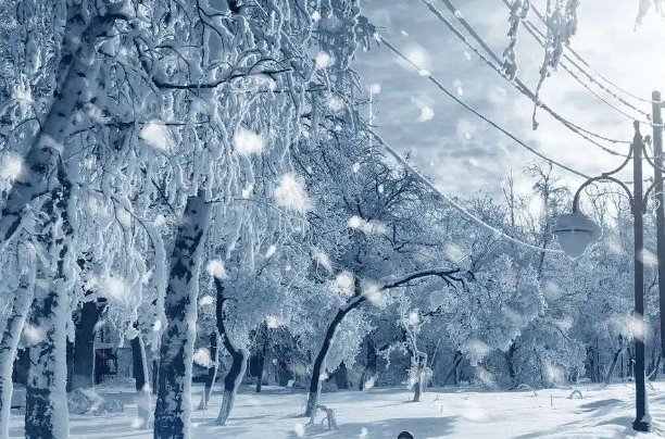 用大雪纷飞造句