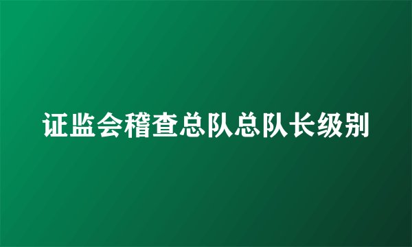 证监会稽查总队总队长级别