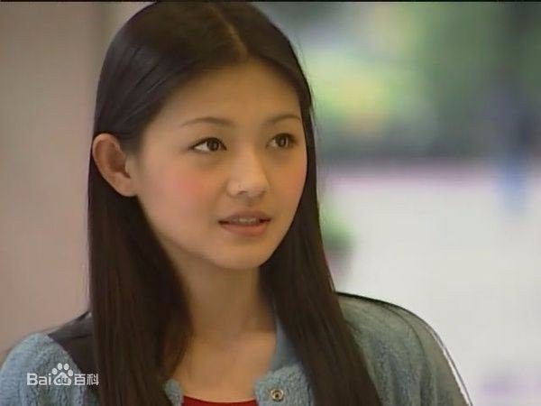 如何评价《流星花园》这部电视剧？