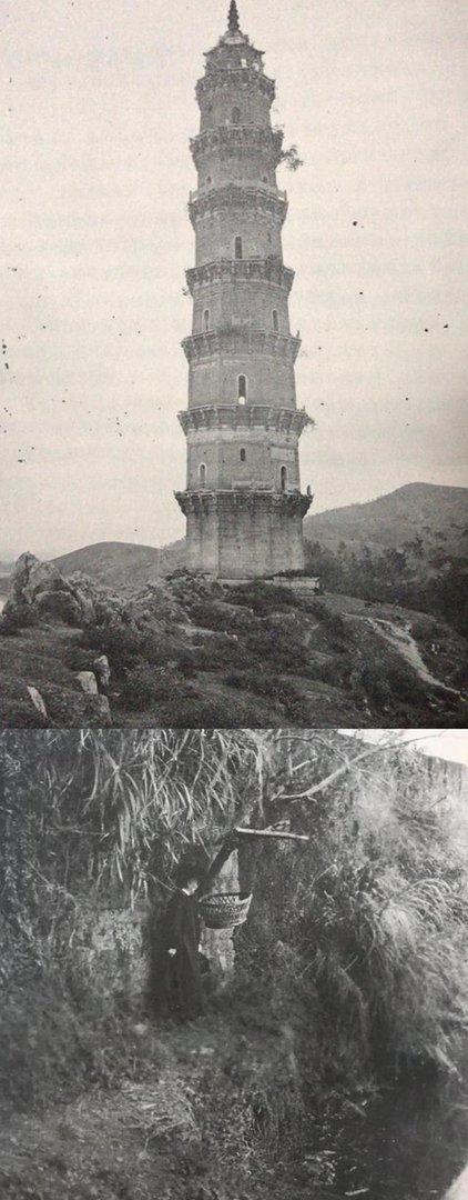 历史上，你们听说过一个有无数婴儿被遗弃的“弃婴岛”吗？