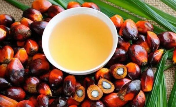 常用于生产油炸膨化零食的棕榈油是怎么制成的？