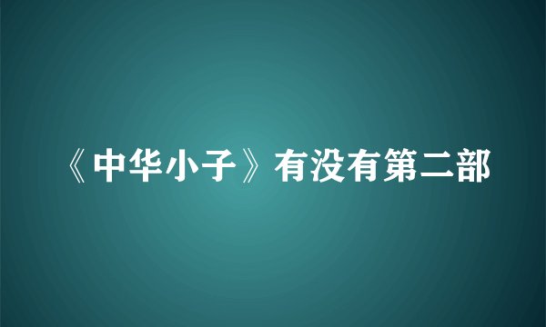 《中华小子》有没有第二部