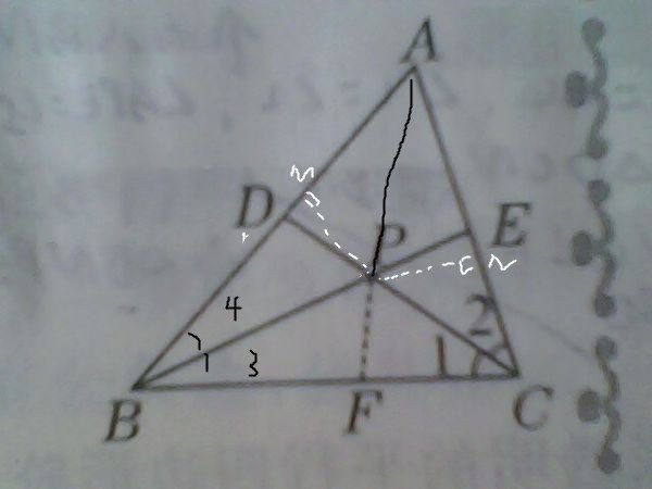 如图，已知△ABC中，∠A=60°，BE，CD分别平分∠ABC,∠ACB，P为BE，CD的交点。