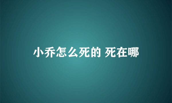 小乔怎么死的 死在哪