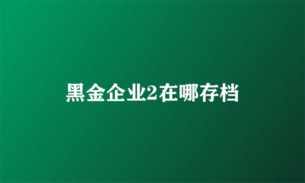 黑金企业2在哪存档