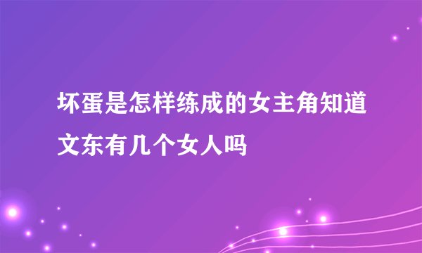 坏蛋是怎样练成的女主角知道文东有几个女人吗