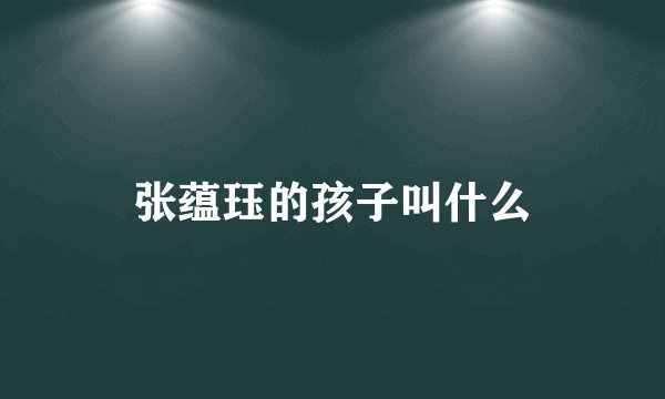 张蕴珏的孩子叫什么