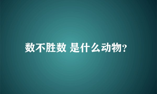 数不胜数 是什么动物？