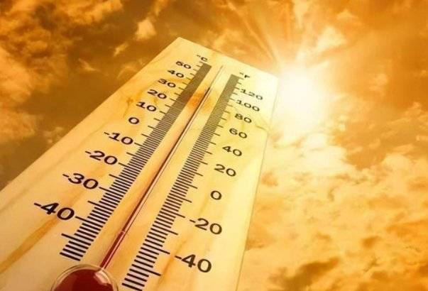 全国高温前十名