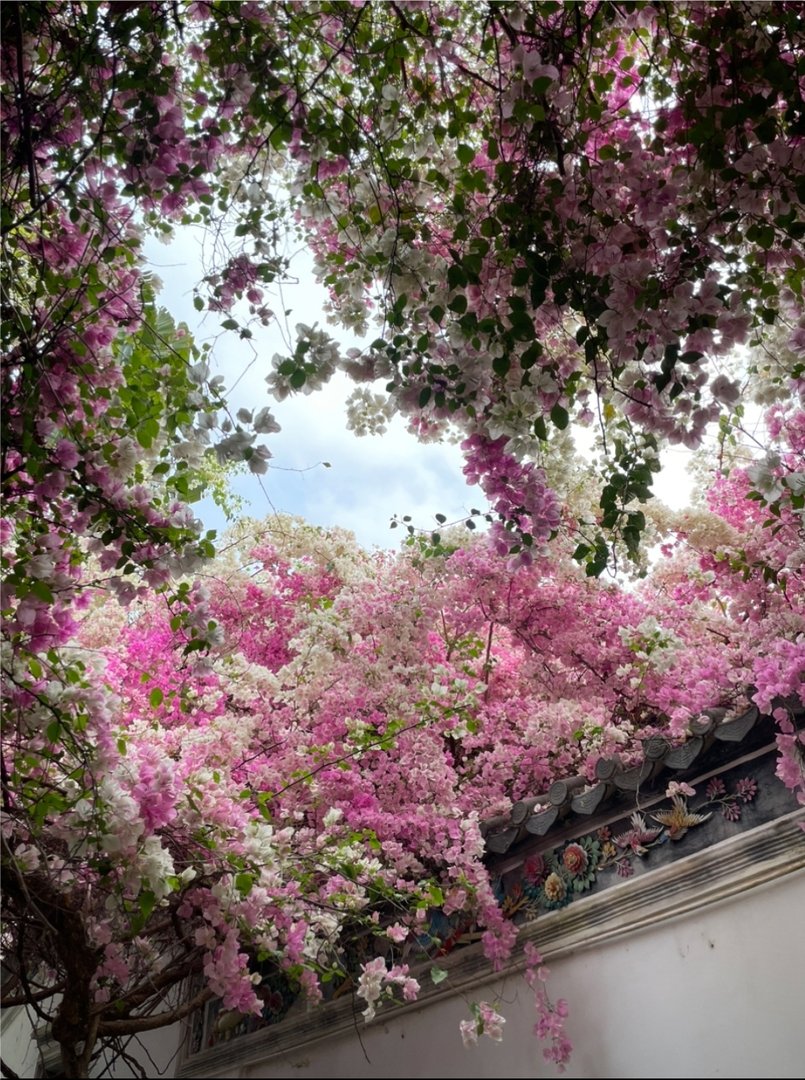 关于花草树木的成语