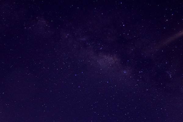 十二星座痴情排行榜是怎样的?