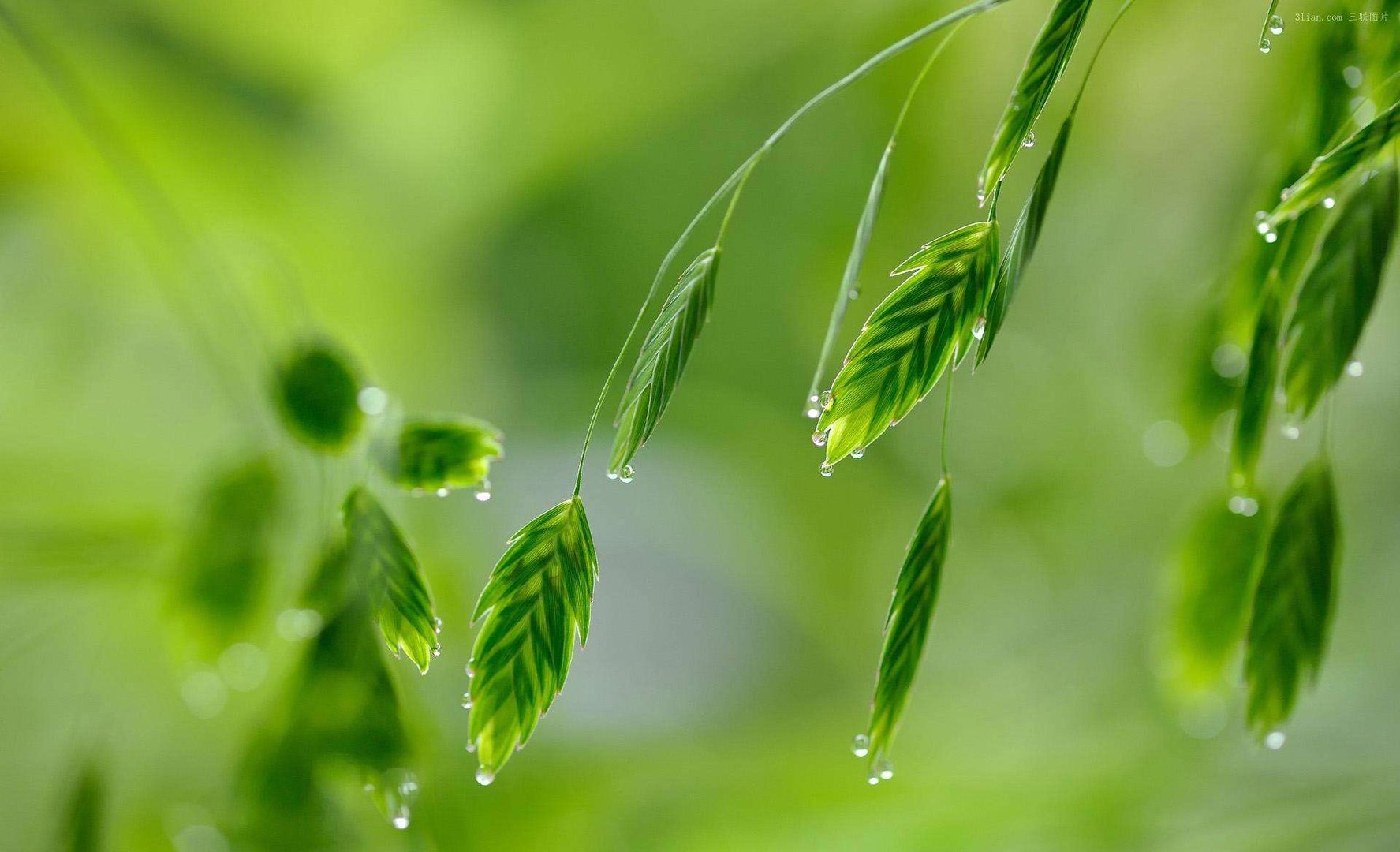 优美什么填词语