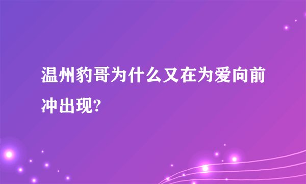 温州豹哥为什么又在为爱向前冲出现?