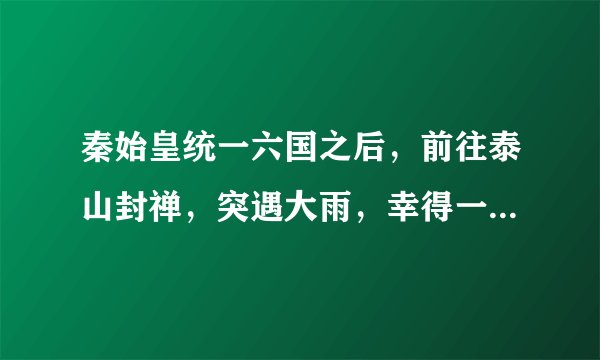 秦始皇统一六国之后，前往泰山封禅，突遇大雨，幸得一株大松树遮蔽而免落汤之灾。秦始皇封它为几大夫？