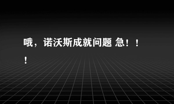 哦，诺沃斯成就问题 急！！！