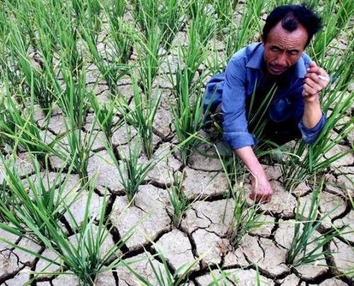 今年为什么会出现“南旱北涝”的现象？