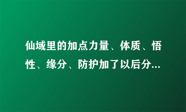 仙域里的加点力量、体质、悟性、缘分、防护加了以后分别有什么性能？？急