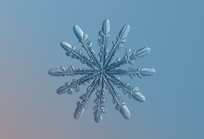 雪花一共有几种形状