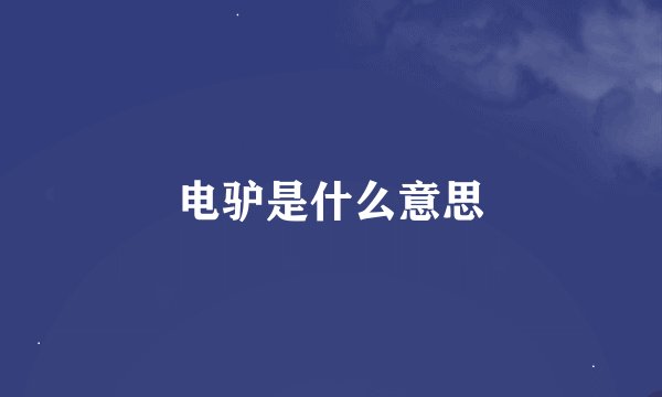 电驴是什么意思