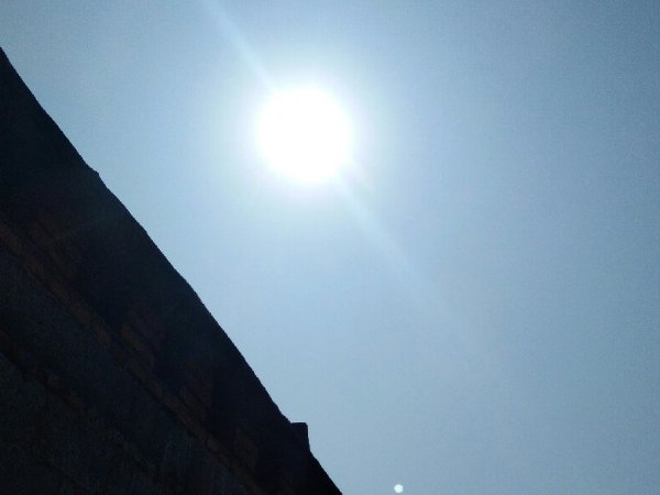 为什么今年这么热