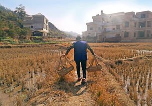 谭警官回应现实版的活着，那位老大爷生活为什么这么坎坷？