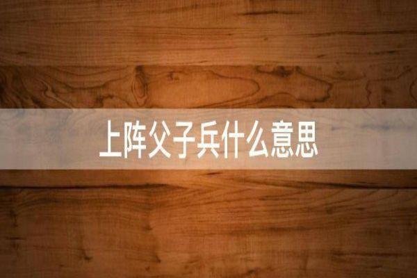 上阵父子兵什么意思