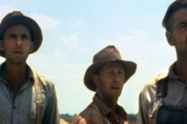 10部让人笑成傻子的电影叫什么名字？