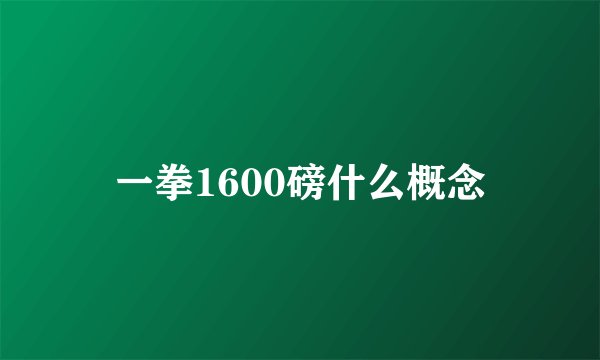 一拳1600磅什么概念