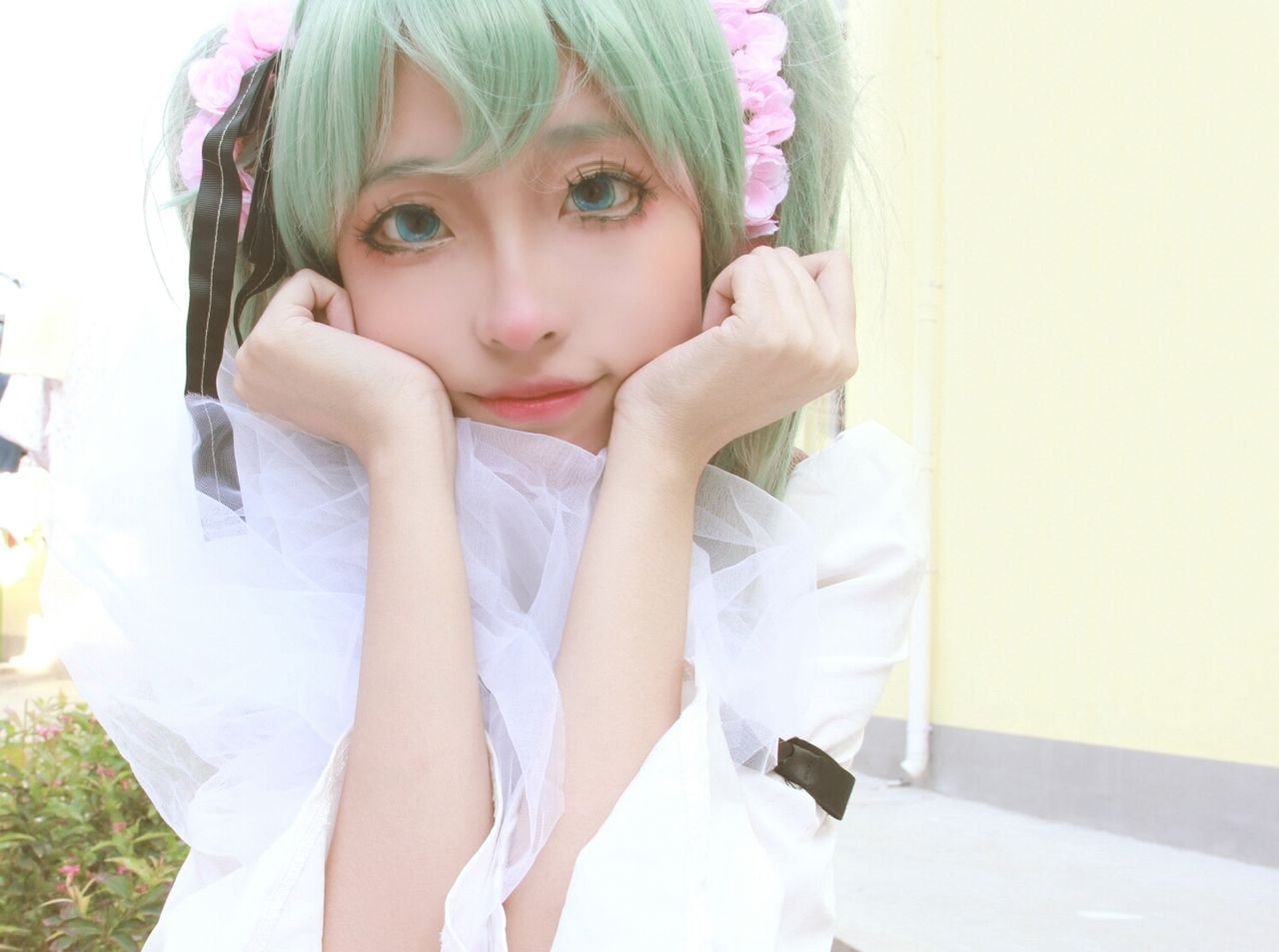 初音未来 从头到尾都是 喵喵喵的 是什么歌？