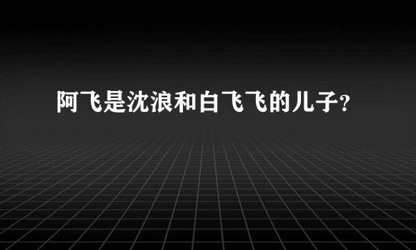 阿飞是沈浪和白飞飞的儿子？