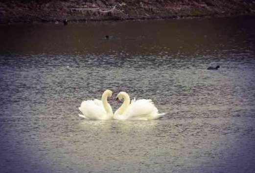 心里有座坟 住着未亡人这句话的真正意思是什么？网上答案太多，我要准确的