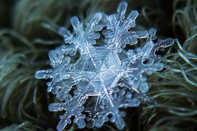 雪花一共有几种形状