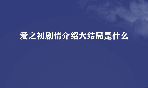 爱之初剧情介绍大结局是什么